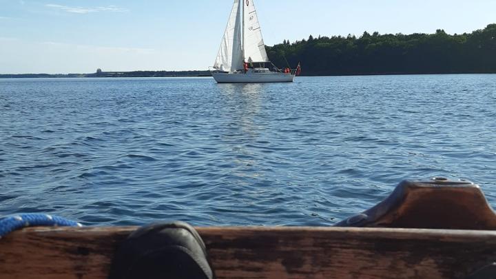 Pelikanen set fra Søhesten
